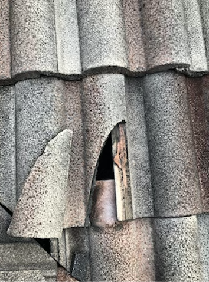 Broken/chipped roof.