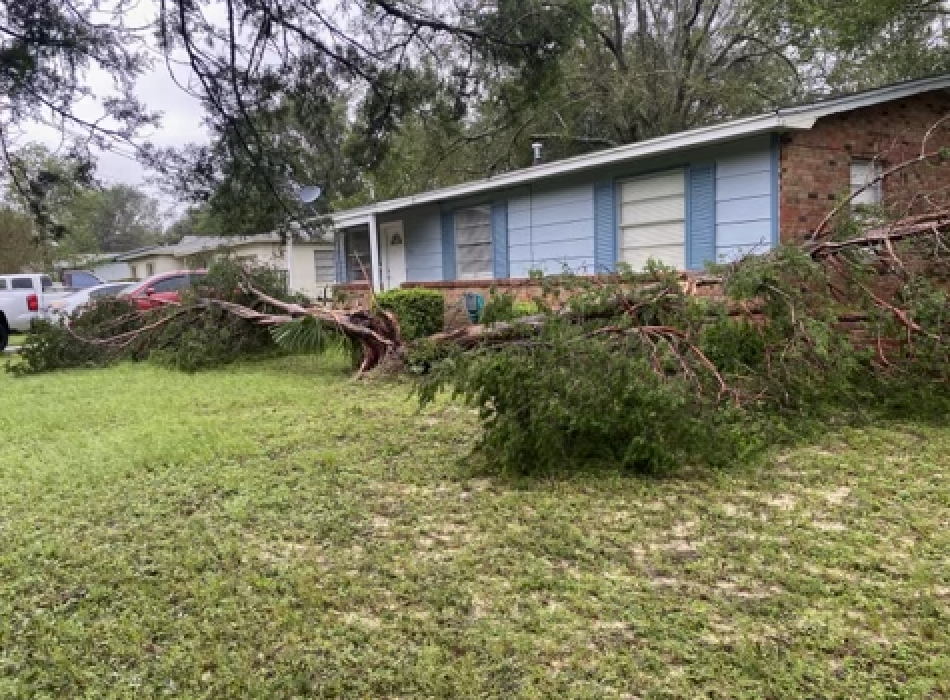 tree collapsed around and on house. Hurricane damage.