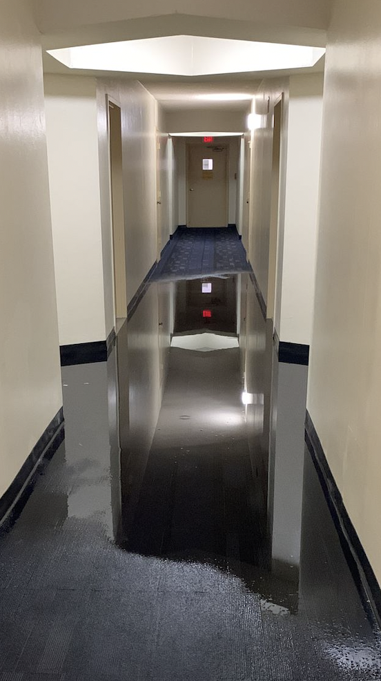 Flooded Hallways